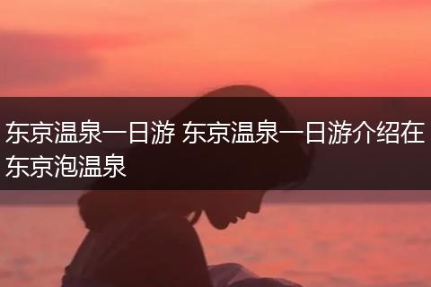 东京温泉一日游 东京温泉一日游介绍在东京泡温泉