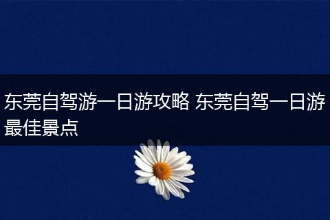 东莞自驾游一日游攻略 东莞自驾一日游最佳景点