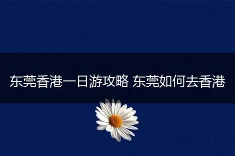 东莞香港一日游攻略 东莞如何去香港