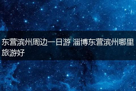 东营滨州周边一日游 淄博东营滨州哪里旅游好