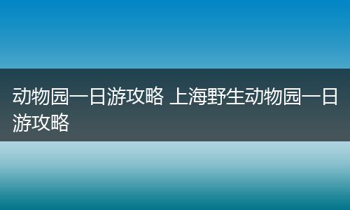 动物园一日游攻略 上海野生动物园一日游攻略