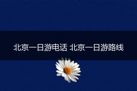 北京一日游电话 北京一日游路线
