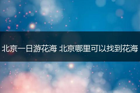 北京一日游花海 北京哪里可以找到花海