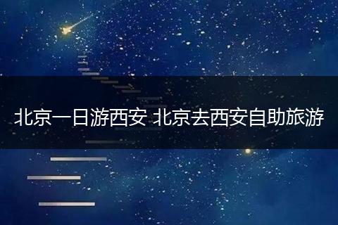 北京一日游西安 北京去西安自助旅游