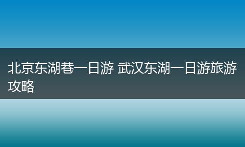 北京东湖巷一日游 武汉东湖一日游旅游攻略