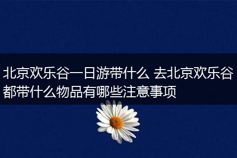 北京欢乐谷一日游带什么 去北京欢乐谷都带什么物品有哪些注意事项