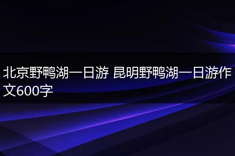 北京野鸭湖一日游 昆明野鸭湖一日游作文600字