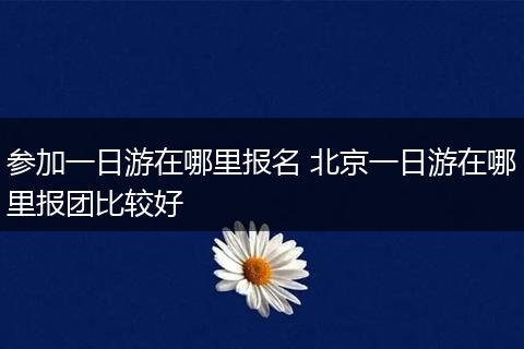 参加一日游在哪里报名 北京一日游在哪里报团比较好