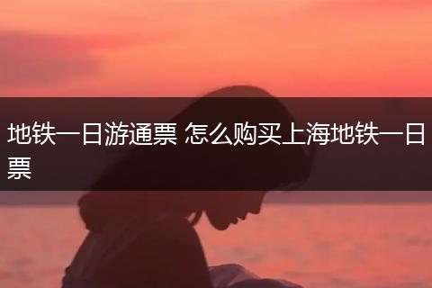 地铁一日游通票 怎么购买上海地铁一日票