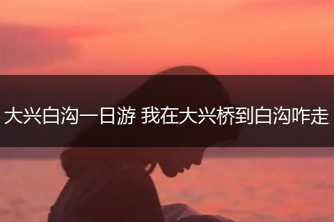 大兴白沟一日游 我在大兴桥到白沟咋走