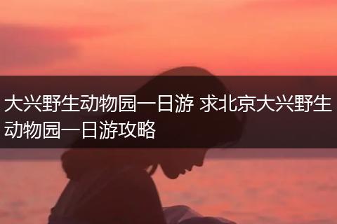大兴野生动物园一日游 求北京大兴野生动物园一日游攻略