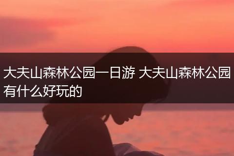 大夫山森林公园一日游 大夫山森林公园有什么好玩的