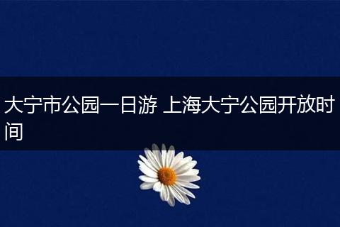 大宁市公园一日游 上海大宁公园开放时间