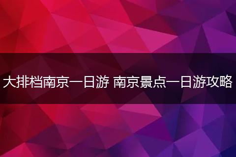 大排档南京一日游 南京景点一日游攻略