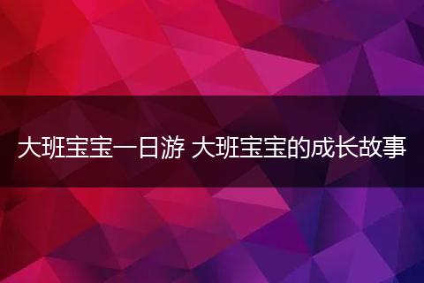 大班宝宝一日游 大班宝宝的成长故事