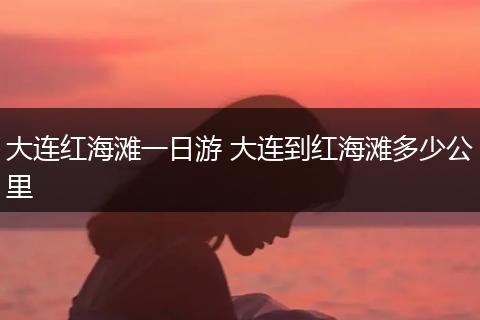 大连红海滩一日游 大连到红海滩多少公里