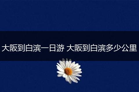 大阪到白滨一日游 大阪到白滨多少公里