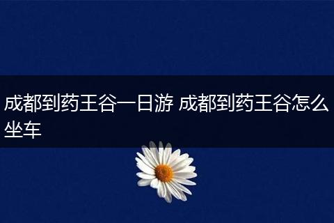 成都到药王谷一日游 成都到药王谷怎么坐车