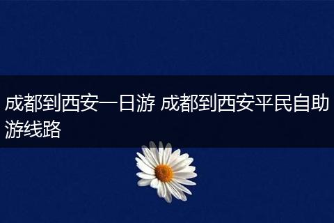 成都到西安一日游 成都到西安平民自助游线路