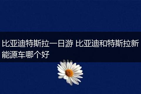 比亚迪特斯拉一日游 比亚迪和特斯拉新能源车哪个好