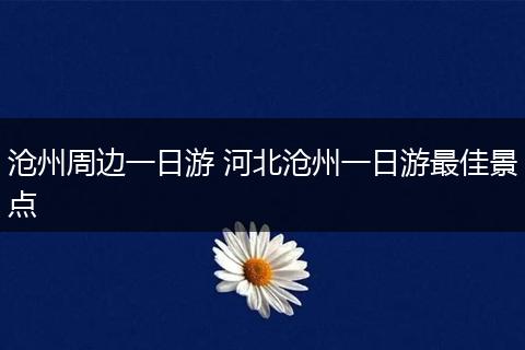 沧州周边一日游 河北沧州一日游最佳景点
