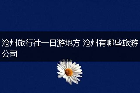 沧州旅行社一日游地方 沧州有哪些旅游公司