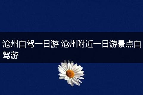 沧州自驾一日游 沧州附近一日游景点自驾游