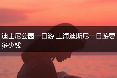 迪士尼公园一日游 上海迪斯尼一日游要多少钱