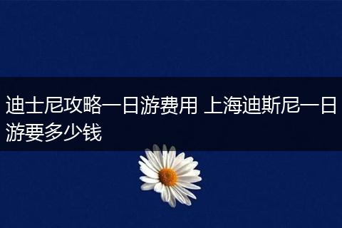 迪士尼攻略一日游费用 上海迪斯尼一日游要多少钱