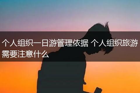 个人组织一日游管理依据 个人组织旅游需要注意什么