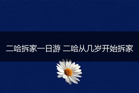 二哈拆家一日游 二哈从几岁开始拆家