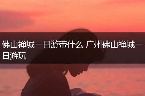佛山禅城一日游带什么 广州佛山禅城一日游玩