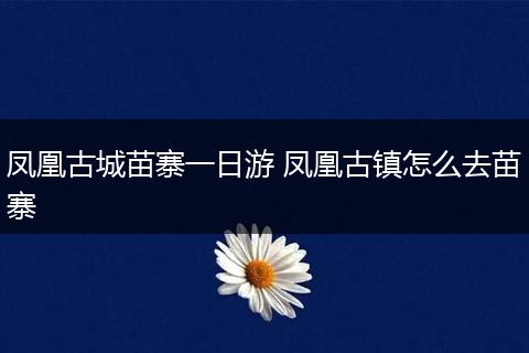 凤凰古城苗寨一日游 凤凰古镇怎么去苗寨