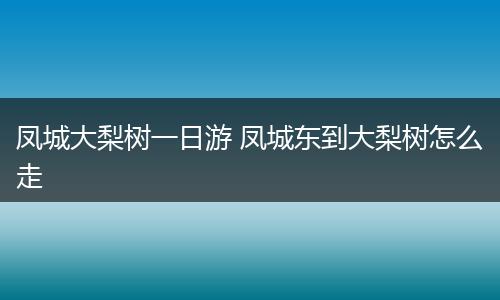 凤城大梨树一日游 凤城东到大梨树怎么走