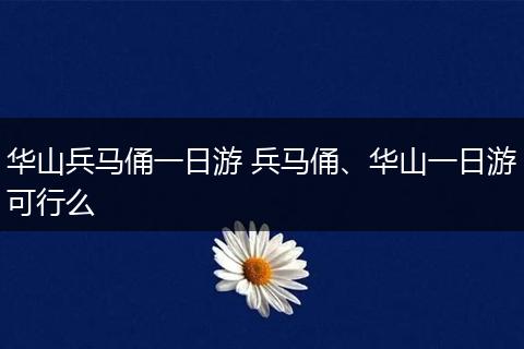 华山兵马俑一日游 兵马俑、华山一日游可行么