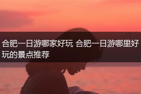 合肥一日游哪家好玩 合肥一日游哪里好玩的景点推荐