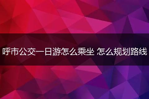 呼市公交一日游怎么乘坐 怎么规划路线
