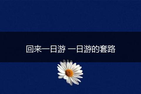 回来一日游 一日游的套路