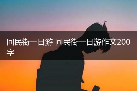 回民街一日游 回民街一日游作文200字