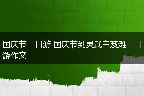 国庆节一日游 国庆节到灵武白芨滩一日游作文