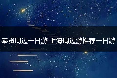 奉贤周边一日游 上海周边游推荐一日游