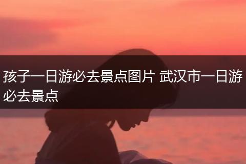 孩子一日游必去景点图片 武汉市一日游必去景点
