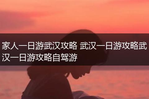 家人一日游武汉攻略 武汉一日游攻略武汉一日游攻略自驾游