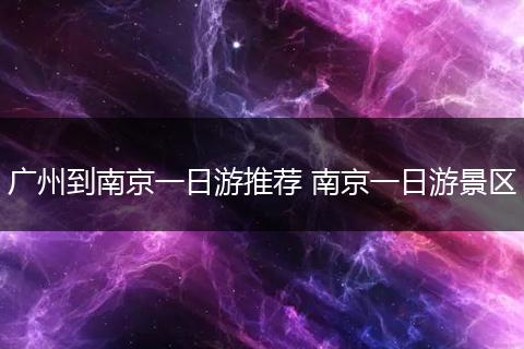 广州到南京一日游推荐 南京一日游景区