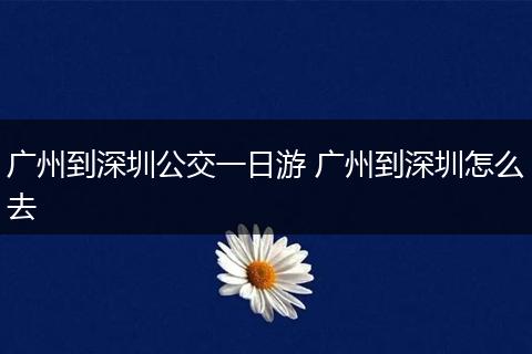 广州到深圳公交一日游 广州到深圳怎么去