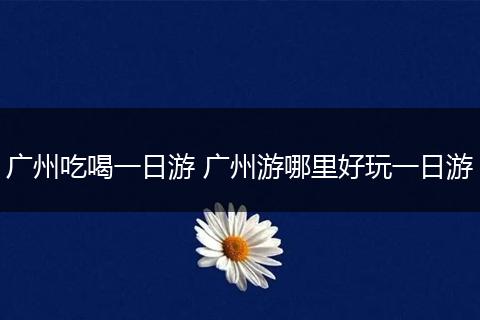 广州吃喝一日游 广州游哪里好玩一日游