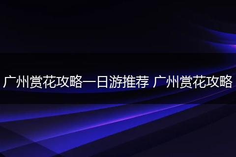 广州赏花攻略一日游推荐 广州赏花攻略