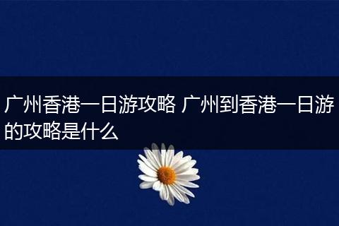 广州香港一日游攻略 广州到香港一日游的攻略是什么