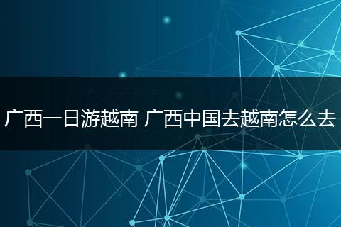 广西一日游越南 广西中国去越南怎么去