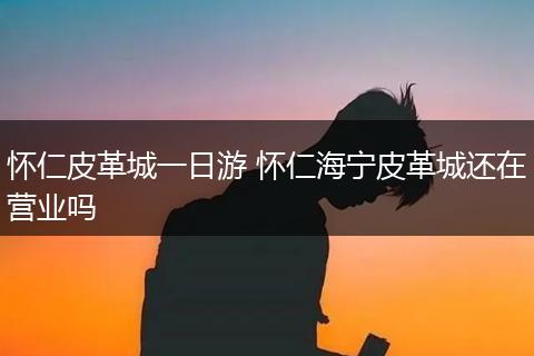 怀仁皮革城一日游 怀仁海宁皮革城还在营业吗